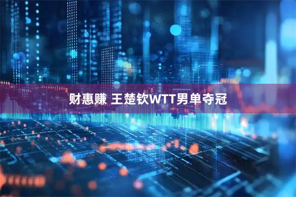 财惠赚 王楚钦WTT男单夺冠