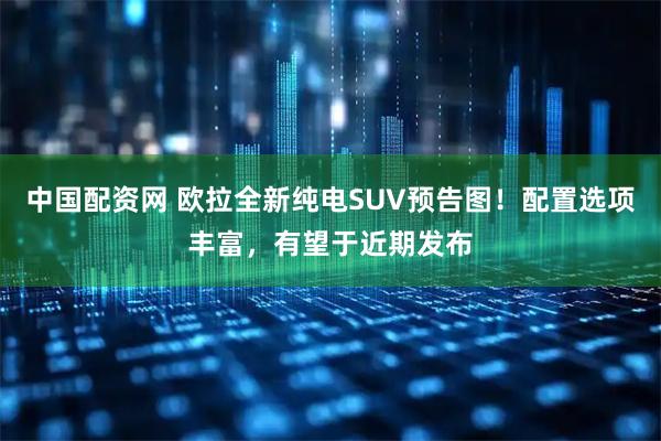 中国配资网 欧拉全新纯电SUV预告图！配置选项丰富，有望于近期发布