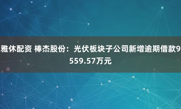 雅休配资 棒杰股份：光伏板块子公司新增逾期借款9559.57万元