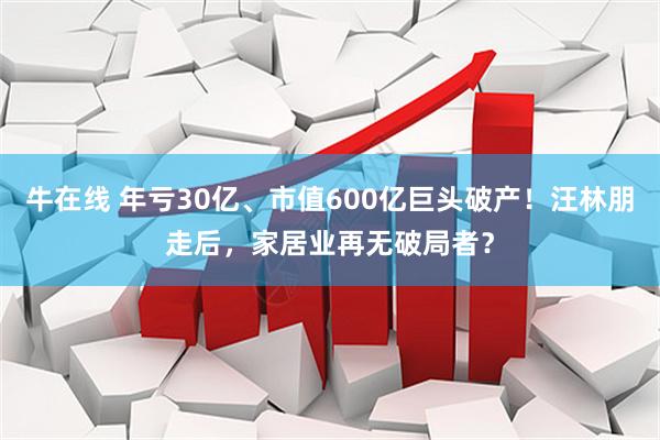 牛在线 年亏30亿、市值600亿巨头破产！汪林朋走后，家居业再无破局者？