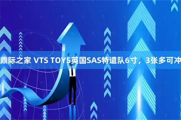 鼎际之家 VTS TOYS英国SAS特遣队6寸，3张多可冲