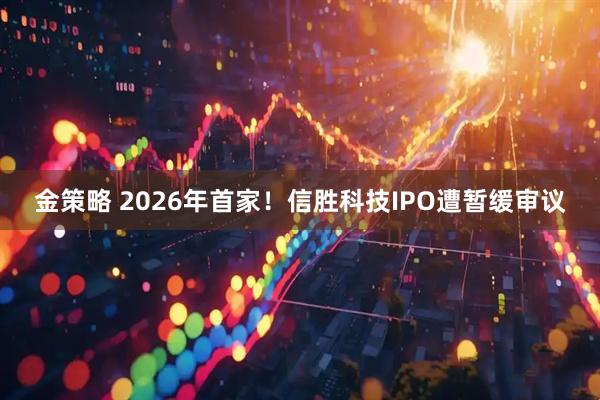 金策略 2026年首家！信胜科技IPO遭暂缓审议