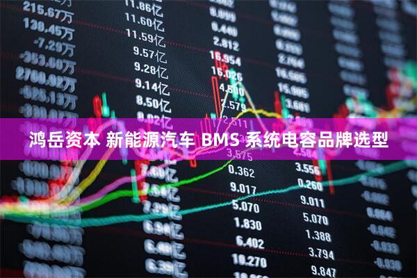鸿岳资本 新能源汽车 BMS 系统电容品牌选型