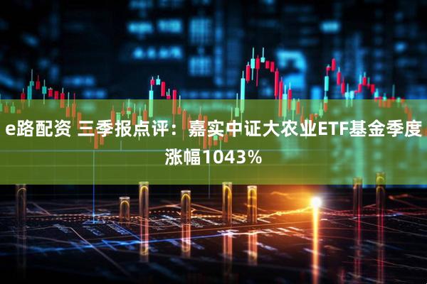 e路配资 三季报点评：嘉实中证大农业ETF基金季度涨幅1043%